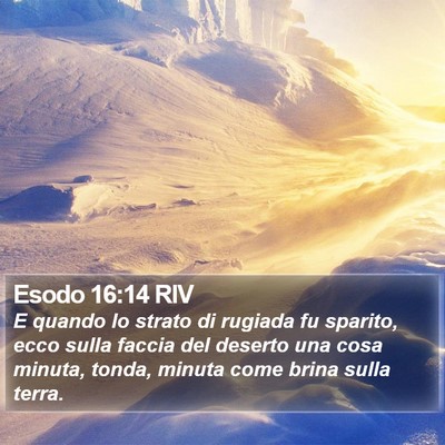 Esodo 16:14 RIV Bible Verse Image