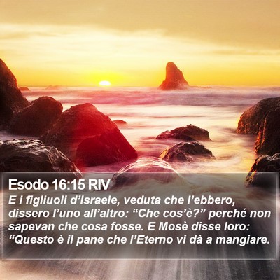 Esodo 16:15 RIV Bible Verse Image