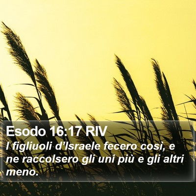 Esodo 16:17 RIV Bible Verse Image