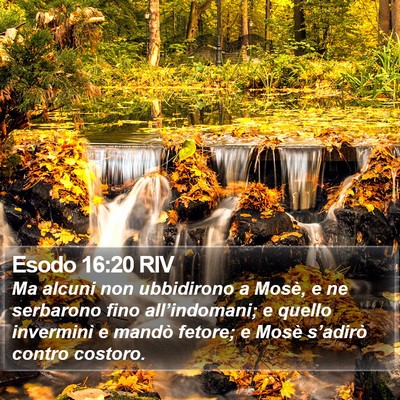 Esodo 16:20 RIV Bible Verse Image