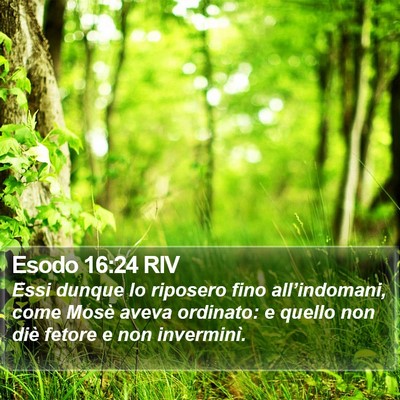 Esodo 16:24 RIV Bible Verse Image