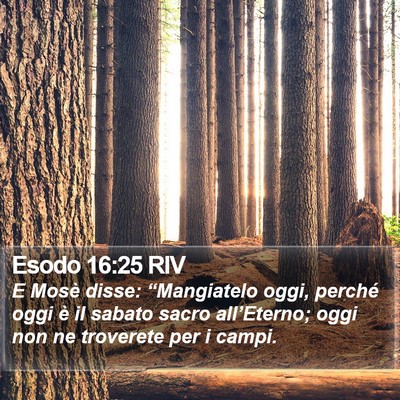 Esodo 16:25 RIV Bible Verse Image