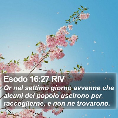 Esodo 16:27 RIV Bible Verse Image
