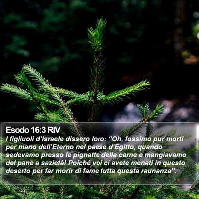 Esodo 16:3 RIV Bible Verse Image