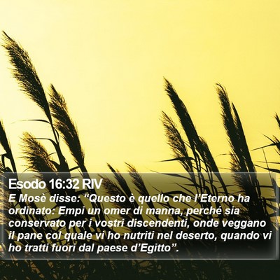 Esodo 16:32 RIV Bible Verse Image