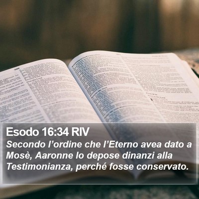 Esodo 16:34 RIV Bible Verse Image