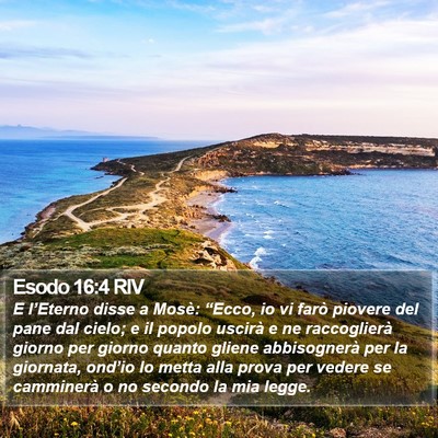 Esodo 16:4 RIV Bible Verse Image