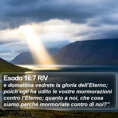 Esodo 16:7 RIV Bible Verse Image