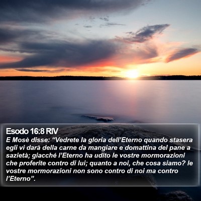 Esodo 16:8 RIV Bible Verse Image
