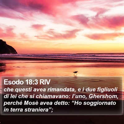 Esodo 18:3 RIV Bible Verse Image