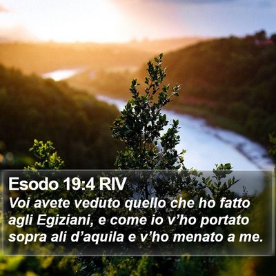 Esodo 19:4 RIV Bible Verse Image