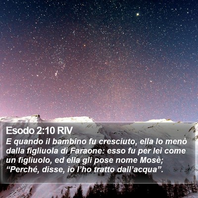 Esodo 2:10 RIV Bible Verse Image