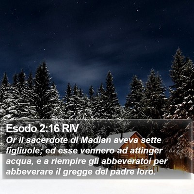 Esodo 2:16 RIV Bible Verse Image