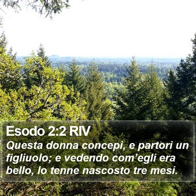 Esodo 2:2 RIV Bible Verse Image