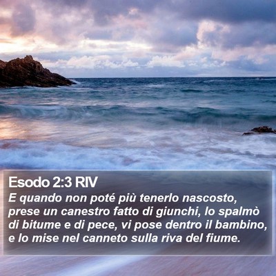Esodo 2:3 RIV Bible Verse Image