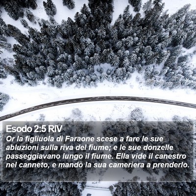 Esodo 2:5 RIV Bible Verse Image