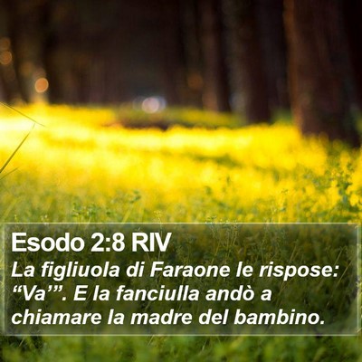 Esodo 2:8 RIV Bible Verse Image