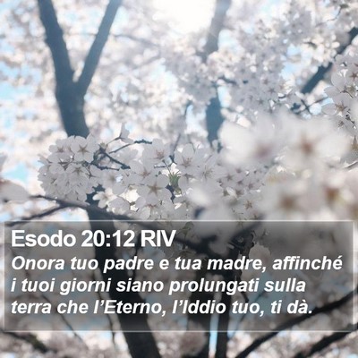 Esodo 20:12 RIV Bible Verse Image