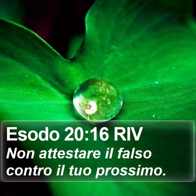 Esodo 20:16 RIV Bible Verse Image
