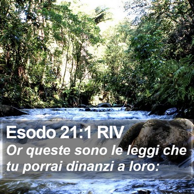 Esodo 21:1 RIV Bible Verse Image