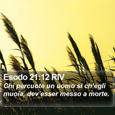 Esodo 21:12 RIV Bible Verse Image