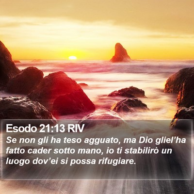 Esodo 21:13 RIV Bible Verse Image