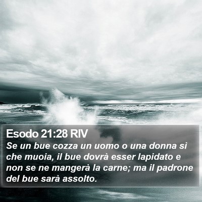 Esodo 21:28 RIV Bible Verse Image