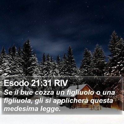Esodo 21:31 RIV Bible Verse Image