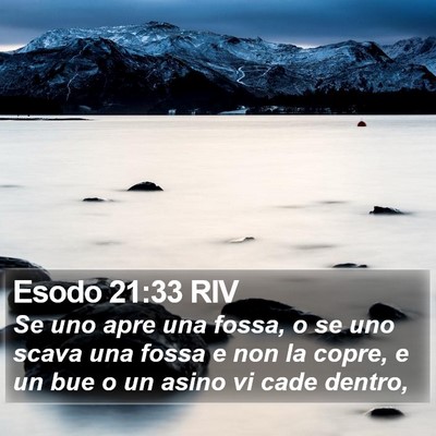 Esodo 21:33 RIV Bible Verse Image