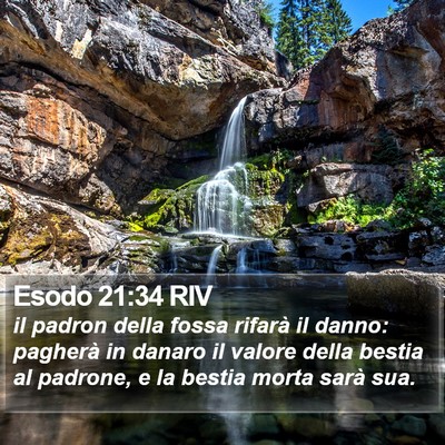 Esodo 21:34 RIV Bible Verse Image