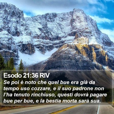 Esodo 21:36 RIV Bible Verse Image