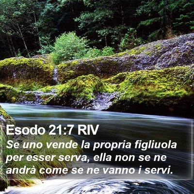 Esodo 21:7 RIV Bible Verse Image