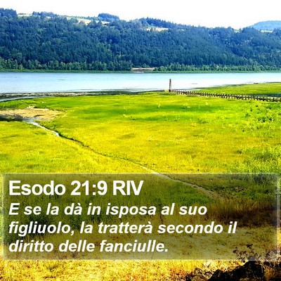 Esodo 21:9 RIV Bible Verse Image