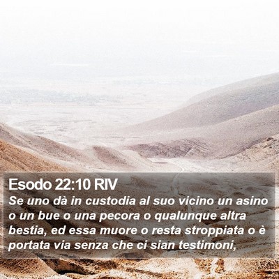 Esodo 22:10 RIV Bible Verse Image