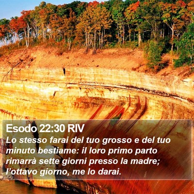 Esodo 22:30 RIV Bible Verse Image