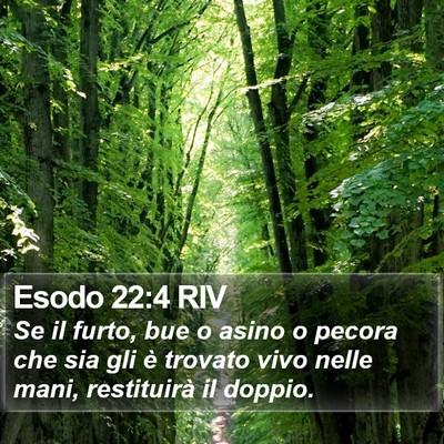 Esodo 22:4 RIV Bible Verse Image