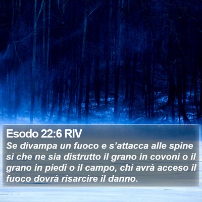Esodo 22:6 RIV Bible Verse Image