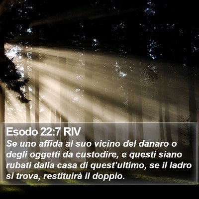 Esodo 22:7 RIV Bible Verse Image