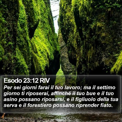Esodo 23:12 RIV Bible Verse Image