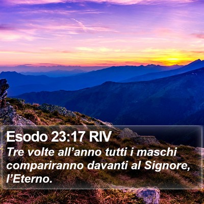 Esodo 23:17 RIV Bible Verse Image