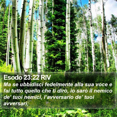 Esodo 23:22 RIV Bible Verse Image