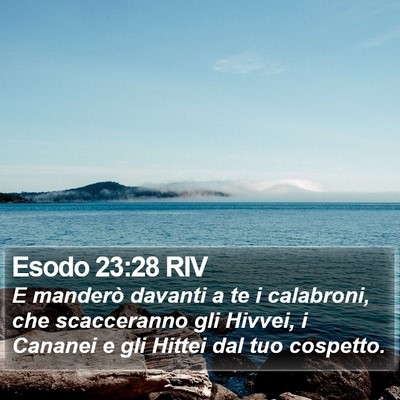 Esodo 23:28 RIV Bible Verse Image