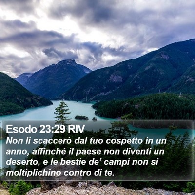 Esodo 23:29 RIV Bible Verse Image