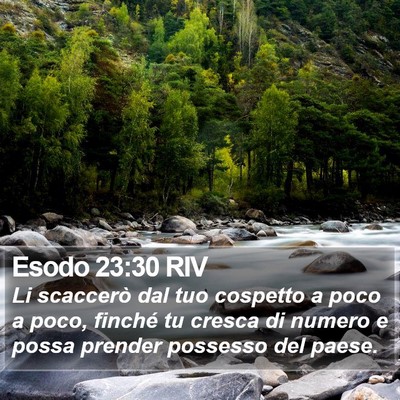 Esodo 23:30 RIV Bible Verse Image