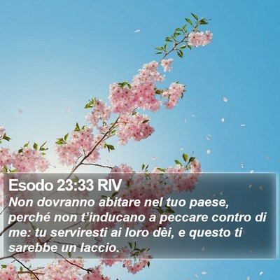 Esodo 23:33 RIV Bible Verse Image