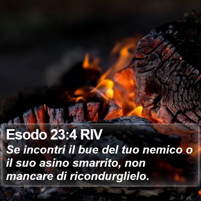 Esodo 23:4 RIV Bible Verse Image