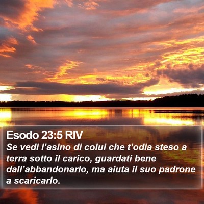 Esodo 23:5 RIV Bible Verse Image