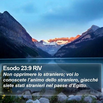 Esodo 23:9 RIV Bible Verse Image