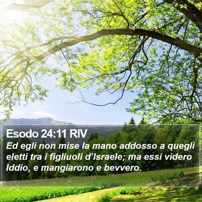 Esodo 24:11 RIV Bible Verse Image
