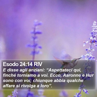 Esodo 24:14 RIV Bible Verse Image